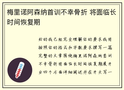 梅里诺阿森纳首训不幸骨折 将面临长时间恢复期